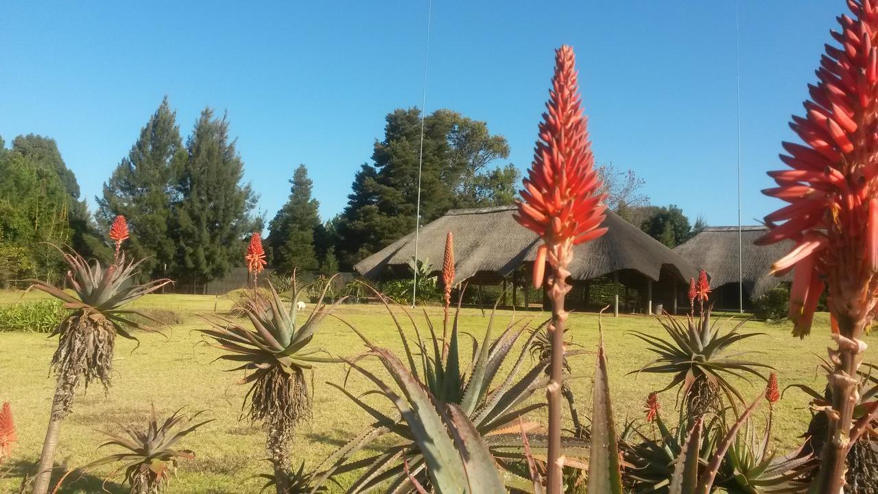 African Flair Country Lodge Piet Retief Exteriör bild