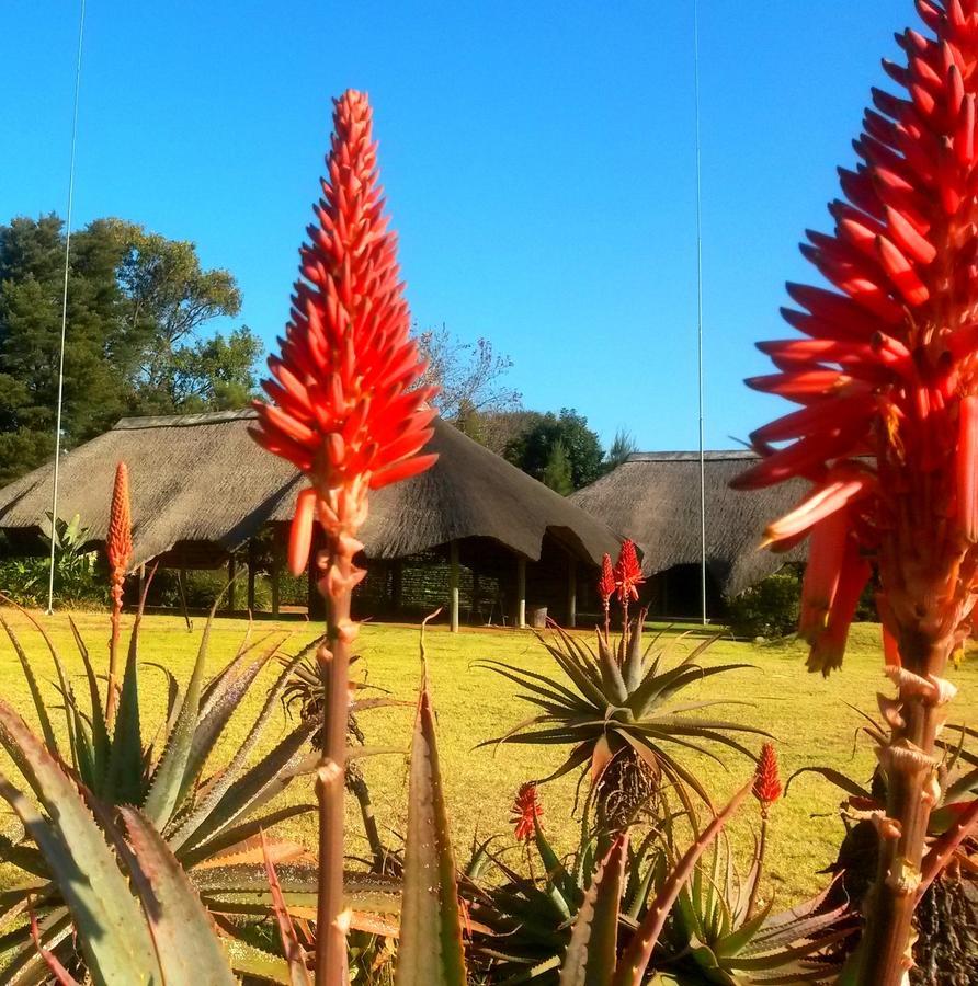 African Flair Country Lodge Piet Retief Exteriör bild