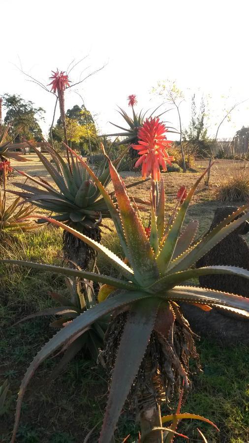 African Flair Country Lodge Piet Retief Exteriör bild
