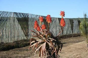 African Flair Country Lodge Piet Retief Exteriör bild