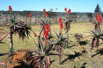 African Flair Country Lodge Piet Retief Exteriör bild