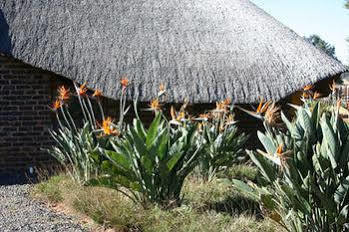 African Flair Country Lodge Piet Retief Exteriör bild
